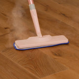Teko Steam Mop with Accessories